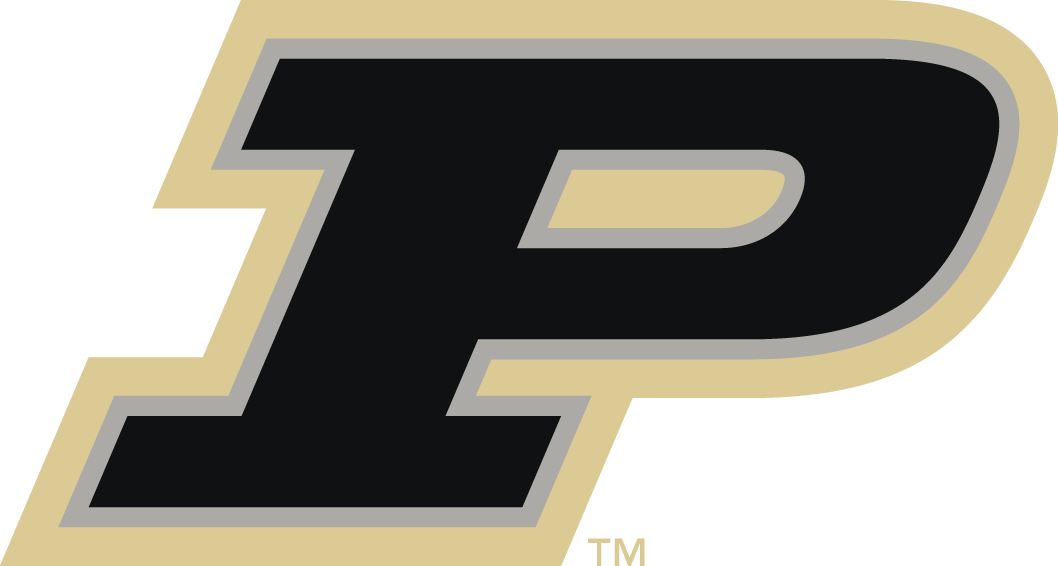 Purdue Boilermakers 2012-Pres Alternate Logo diy DTF decal sticker